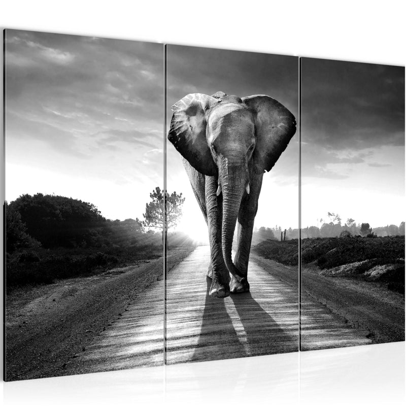 Runa Art Wandbilder Afrika Elefant Bild XXL Wohnzimmer Schlafzimmer Schwarz Weiss Tiere 120 x 80 cm 3 Teilig 042631c