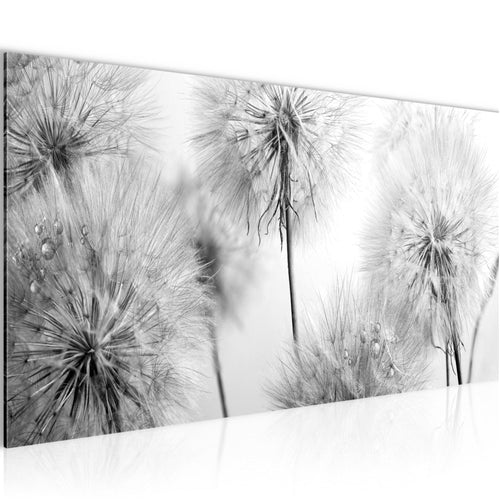 Runa Art Wandbild Blumen Pusteblumen 100 x 40 cm Modern Bild auf Vlies Leinwand Natur Wohnzimmer Schwarz Weiss 042012c