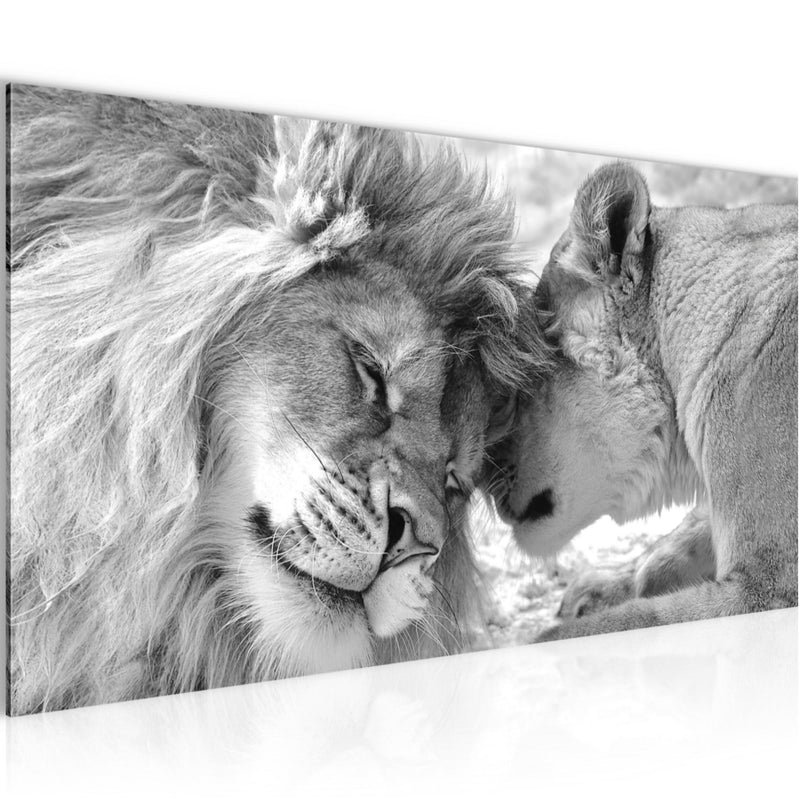 Runa Art Wandbild Löwen Liebe 1 Teilig 100 x 40 cm Modern Bild auf Vlies Leinwand Löwen Familie Wohnzimmer Schlafzimmer Schwarz Weiss 002112c