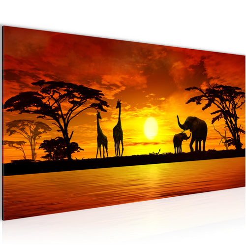 Runa Art Wandbild Afrika 100 x 40 cm Modern Bild auf Vlies Leinwand Orange Wohnzimmer Schlafzimmer Büro Sonnenuntergang 000212a