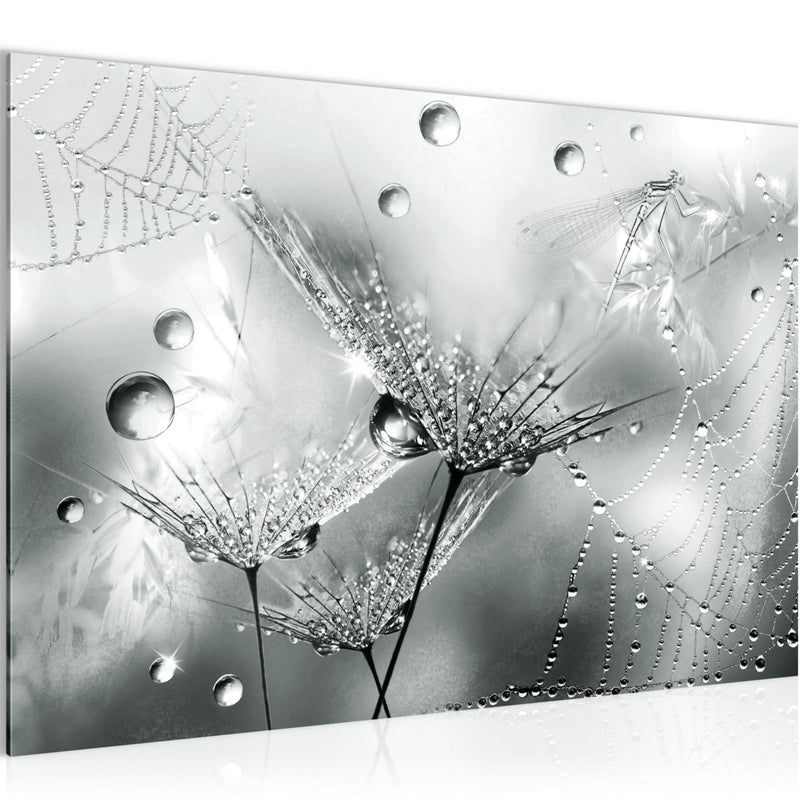 Runa Art Bild Blumen Pusteblumen Modern Wandbilder Wohnzimmer 1 Teilig - Made In Germany - Morgentau Schwarz Weiss Flur 043115c