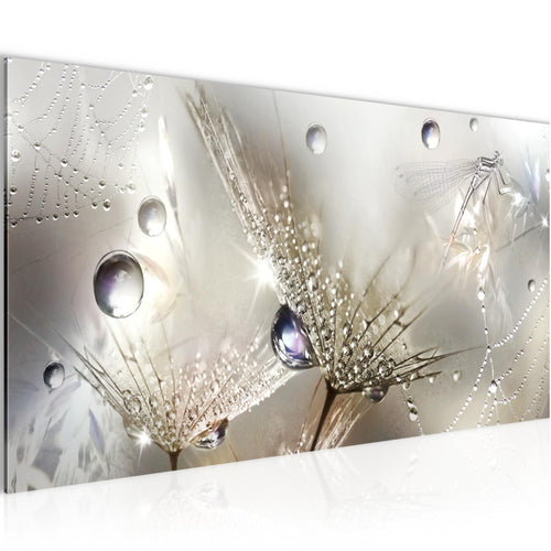 Runa Art Wandbild Blumen Pusteblumen 100 x 40 cm Modern Bild auf Vlies Leinwand Morgentau Wohnzimmer Braun 043112a