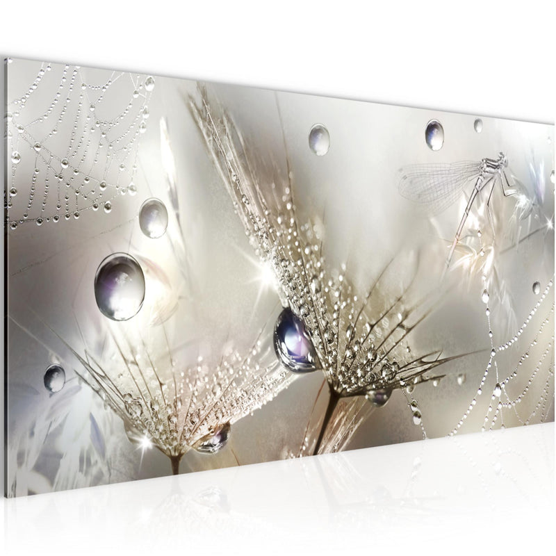 Runa Art Wandbild Blumen Pusteblumen 100 x 40 cm Modern Bild auf Vlies Leinwand Morgentau Wohnzimmer Braun 043112a