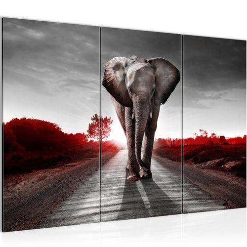 Runa Art Wandbilder Afrika Elefant Bild XXL Wohnzimmer Schlafzimmer Rot Grau Tiere 120 x 80 cm 3 Teilig 042631b