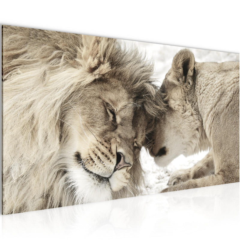 Runa Art Wandbild Löwen Liebe 1 Teilig 100 x 40 cm Modern Bild auf Vlies Leinwand Löwe und Löwin Wohnzimmer Schlafzimmer Beige 002112b