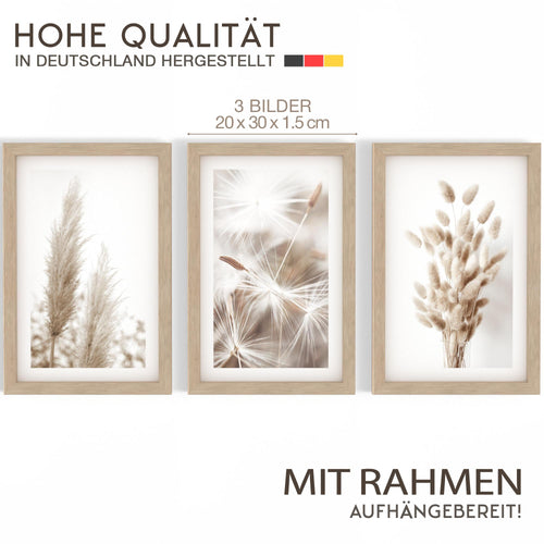 Novart Biler Set Boho Pampasgras - mit Rahmen - Wohnzimmer Schlafzimmer Wanddeko - 3 Wandbilder Beige - N108930aR1