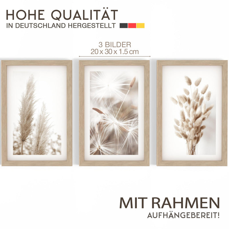 Novart Biler Set Boho Pampasgras - mit Rahmen - Wohnzimmer Schlafzimmer Wanddeko - 3 Wandbilder Beige - N108930aR1