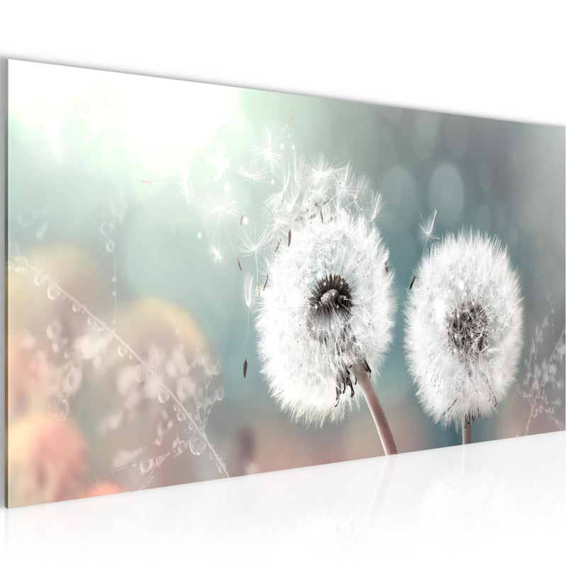 Runa Art Wandbild Blumen Pflanzen 100 x 40 cm Modern Bild auf Vlies Leinwand Weiß Wohnzimmer Schlafzimmer Büro Pusteblumen 023612b