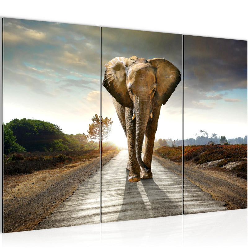 Runa Art Wandbilder Afrika Elefant Bild XXL Wohnzimmer Schlafzimmer Braun Tiere 120 x 80 cm 3 Teilig 042631a