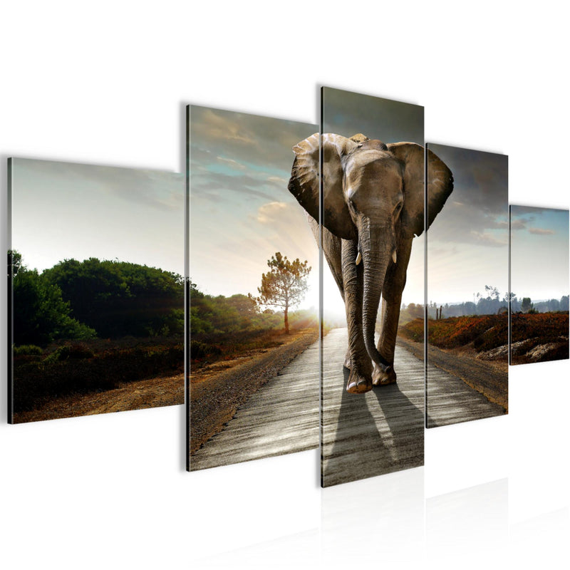 Runa Art Bild Wohnzimmer Schlafzimmer Afrika Elefant 5 Teilig Tiere Braun Wandbilder auf Vlies Leinwand 042653a
