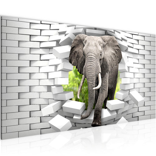 Runa Art Wandbild Elefant Abstrakt 1 Teilig 100 x 40 cm Modern Bild auf Vlies Leinwand Tiere Wohnzimmer Schlafzimmer Bunt 037412b