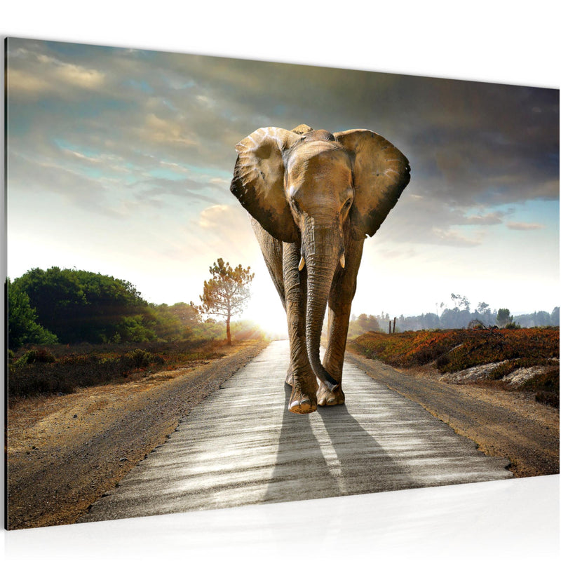 Runa Art Bild Afrika Elefant Modern Wandbilder Wohnzimmer Schlafzimmer 1 Teilig - Made In Germany - Tiere Braun Flur 042615a