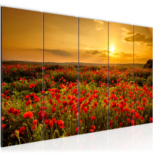 Runa Art Wandbild XXL Mohnblumen Wohnzimmer Schlafzimmer 200 x 80 cm Rot 5 Teilig - Made in Germany - 043955a