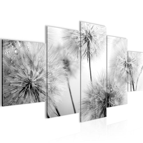Runa Art Bild Wohnzimmer Schlafzimmer Blumen Pusteblumen 5 Teilig Natur Schwarz Weiss Wandbilder auf Vlies Leinwand 042053c