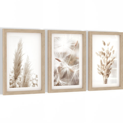 Novart Biler Set Boho Pampasgras - mit Rahmen - Wohnzimmer Schlafzimmer Wanddeko - 3 Wandbilder Beige - N108930aR1