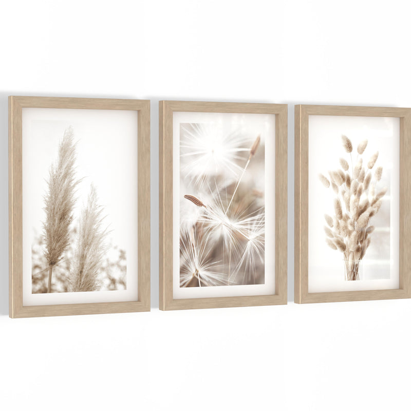 Novart Biler Set Boho Pampasgras - mit Rahmen - Wohnzimmer Schlafzimmer Wanddeko - 3 Wandbilder Beige - N108930aR1