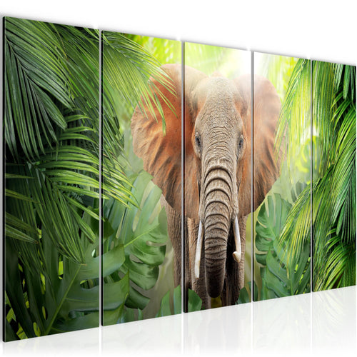 Runa Art Bild Elefant Abstrakt Wandbilder auf Vlies Leinwand 5 Teilig Wanddekoration Wohnzimmer Schlafzimmer 037556b