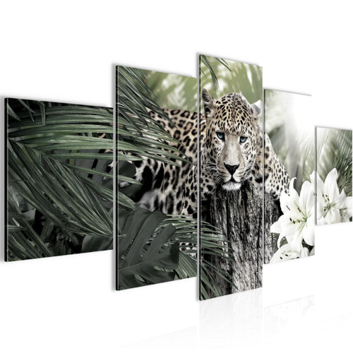 Runa Art Wandbilder Afrika Leopard 5 Teilig Bild auf Vlies Leinwand Deko Wohnzimmer Schlafzimmer Tiere Schwarz Weiss 006752c