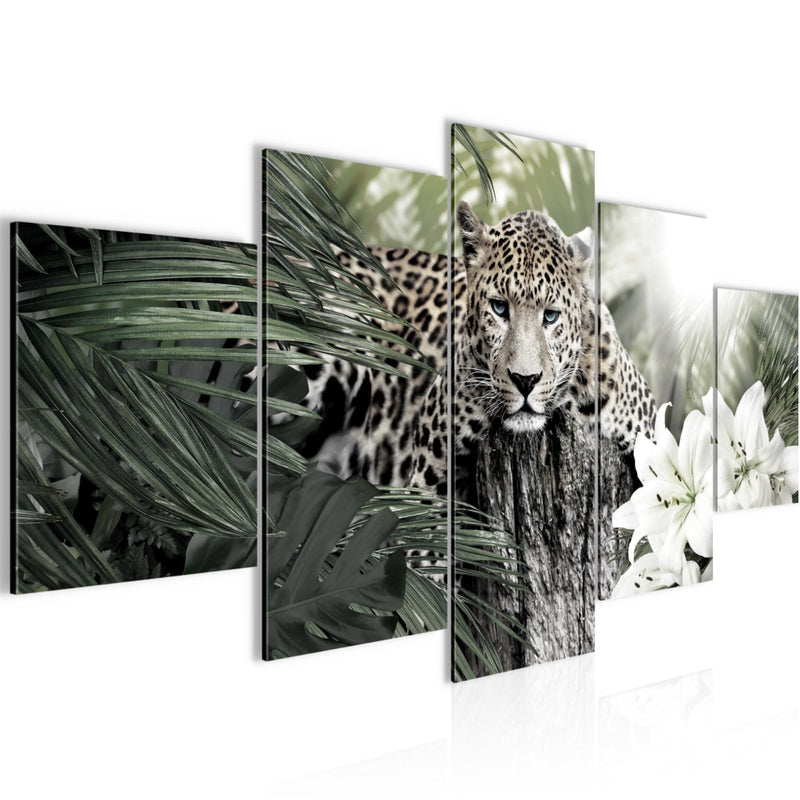 Runa Art Bild Wohnzimmer Schlafzimmer Afrika Leopard 5 Teilig Tiere Schwarz Weiss Wandbilder auf Vlies Leinwand 006753c