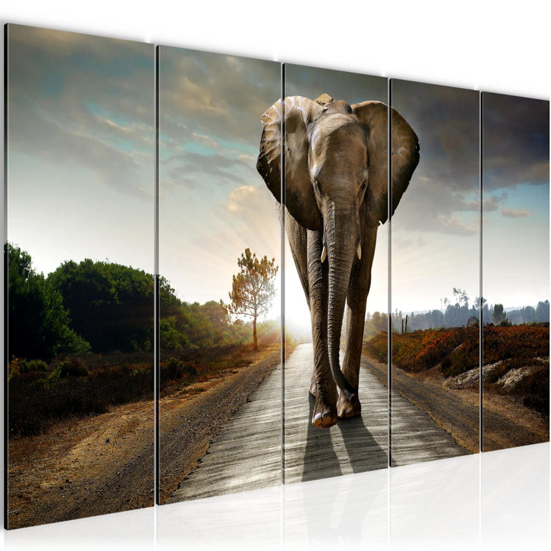 Runa Art Bild Afrika Elefant Wandbilder auf Vlies Leinwand 5 Teilig Wanddekoration Wohnzimmer Schlafzimmer 042656a