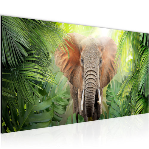 Runa Art Wandbild Elefant Abstrakt 1 Teilig 100 x 40 cm Modern Bild auf Vlies Leinwand Natur Wohnzimmer Schlafzimmer Grün 037512b
