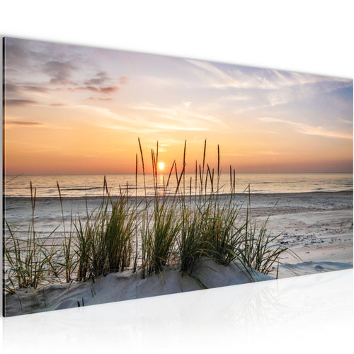 Runa Art Wandbild Landschaft 100 x 40 cm Modern Bild auf Vlies Leinwand Grün Wohnzimmer Schlafzimmer Büro Waschbären 043712a