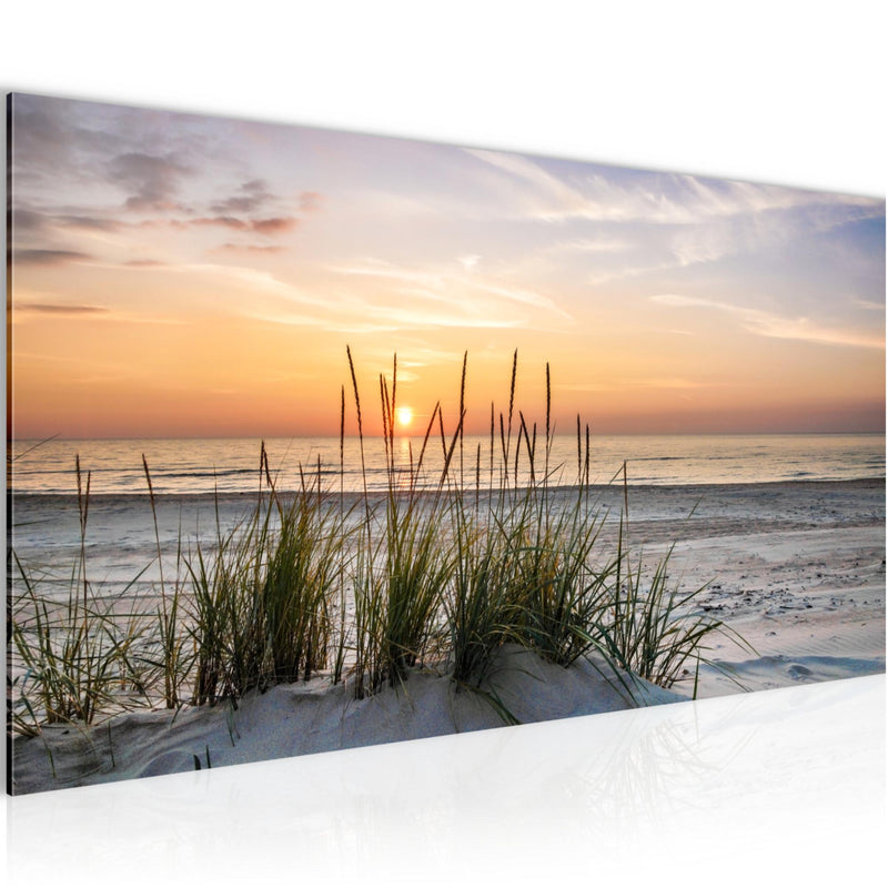 Runa Art Wandbild Landschaft 100 x 40 cm Modern Bild auf Vlies Leinwand Grün Wohnzimmer Schlafzimmer Büro Waschbären 043712a