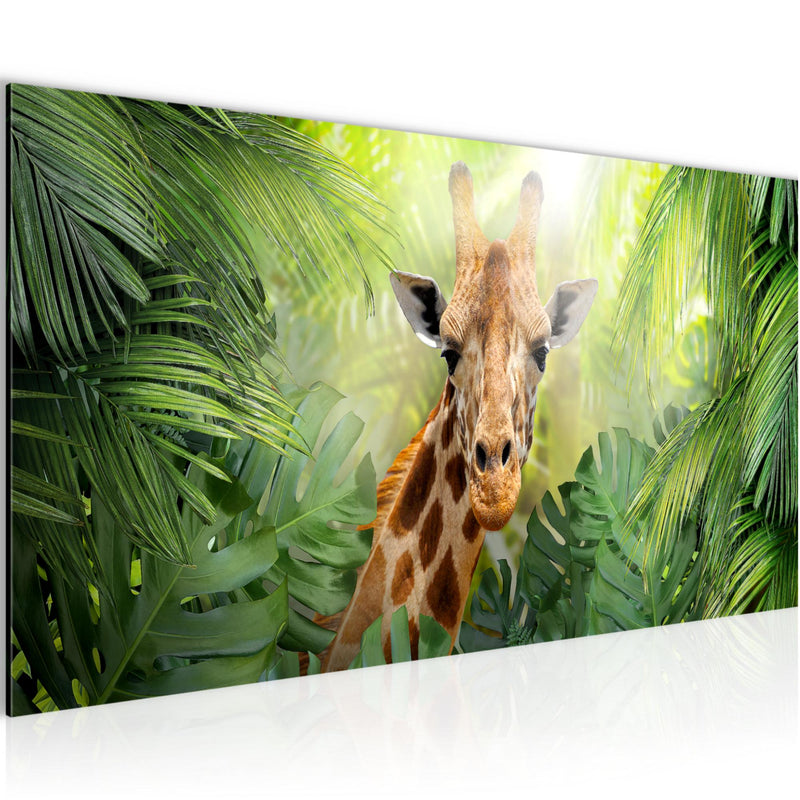 Runa Art Wandbild Giraffe Abstrakt 1 Teilig 100 x 40 cm Modern Bild auf Vlies Leinwand Tiere Wohnzimmer Schlafzimmer Grün 037512c