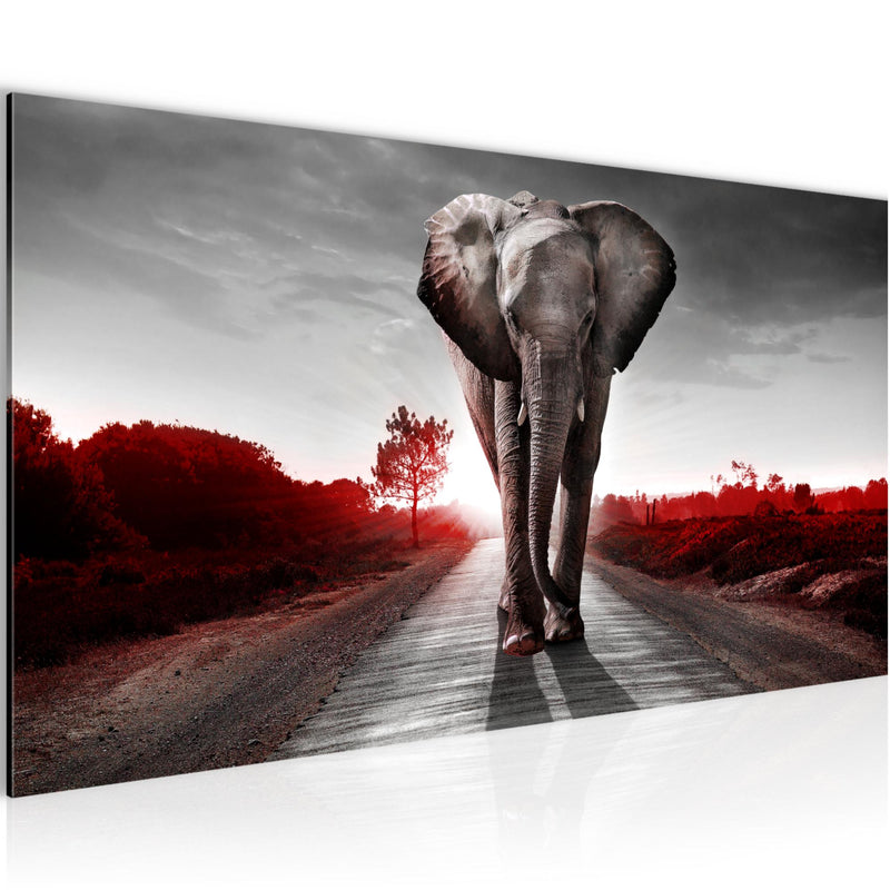 Runa Art Wandbild Afrika Elefant 100 x 40 cm Modern Bild auf Vlies Leinwand Tiere Wohnzimmer Schlafzimmer Rot Grau 042612b