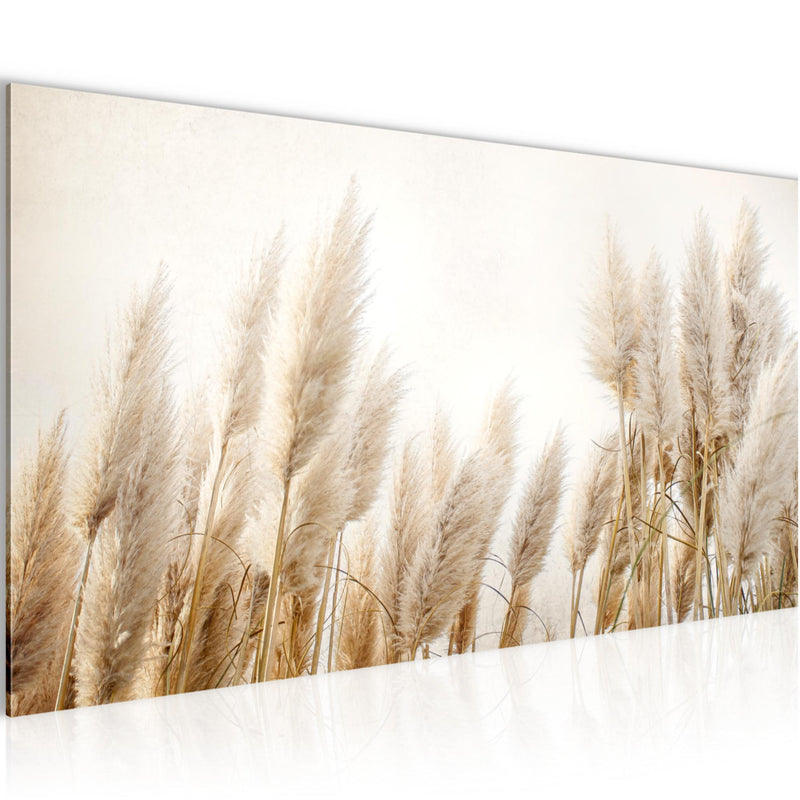Runa Art Wandbild Blumen Pflanzen 100 x 40 cm Modern Bild auf Vlies Leinwand Beige Wohnzimmer Schlafzimmer Büro Gräser 044412a