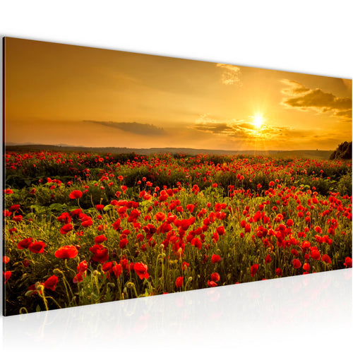 Runa Art Wandbild Mohnblumen 100 x 40 cm Modern Bild auf Vlies Leinwand Blumenwiese Sonnenutergang Wohnzimmer Schlafzimmer Rot 043912a
