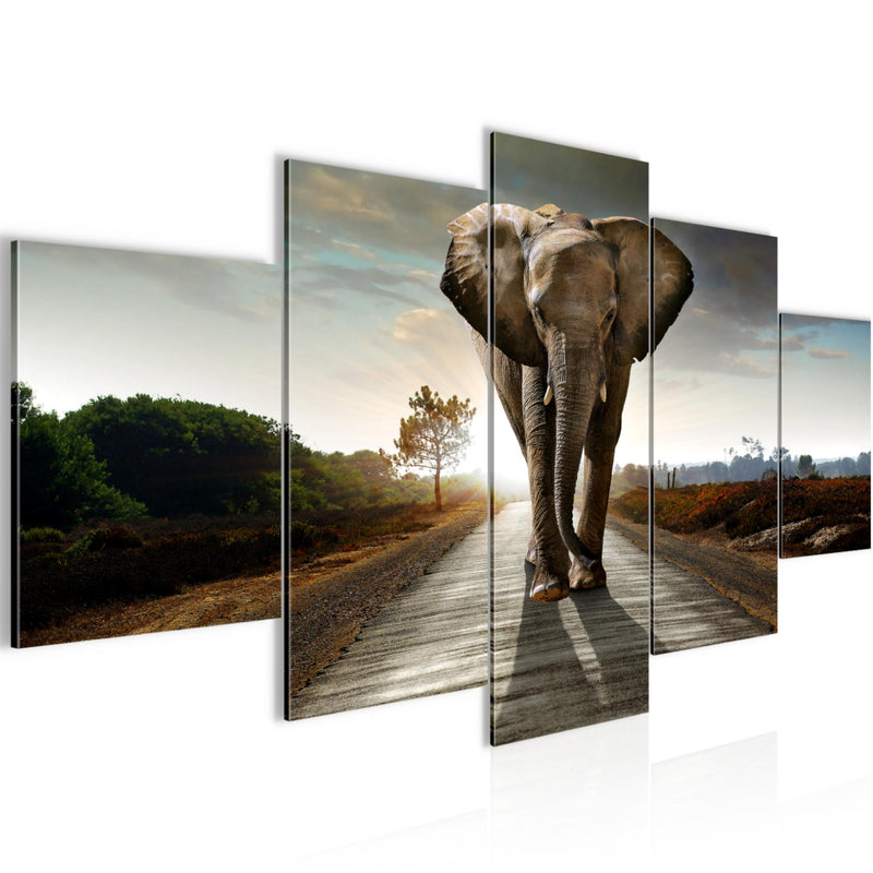 Runa Art Wandbilder Afrika Elefant 5 Teilig Bild auf Vlies Leinwand Deko Wohnzimmer Schlafzimmer Tiere Braun 042652a