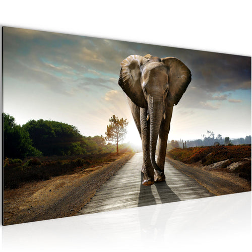 Runa Art Wandbild Afrika Elefant 100 x 40 cm Modern Bild auf Vlies Leinwand Tiere Wohnzimmer Schlafzimmer Braun 042612a