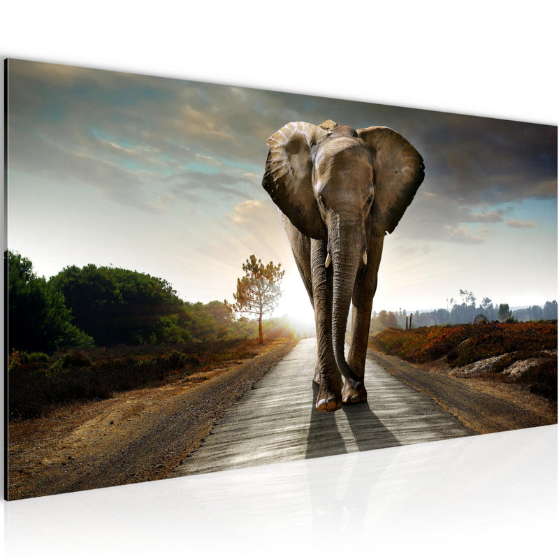 Runa Art Wandbild Afrika Elefant 100 x 40 cm Modern Bild auf Vlies Leinwand Tiere Wohnzimmer Schlafzimmer Braun 042612a