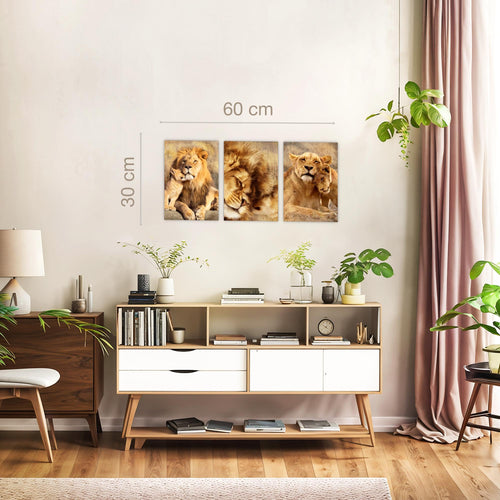 Novart Quadros Leoni Africa Animali - Completamente Pronto Da Appendere - Soggiorno Camera da letto Corridoio Decorazione Elegante - Set 3 Pezzi Beige - N036230a