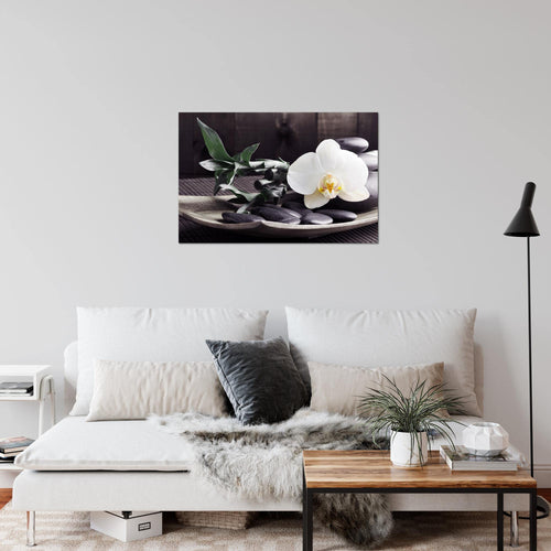 Runa Art Bild Feng Shui Orchidee Modern Wandbilder Wohnzimmer Schlafzimmer 1 Teilig - Made In Germany - Bambus Schwarz Weiss Flur 502315c