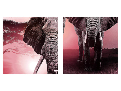 Runa Art Wandbild Afrika 100 x 40 cm Modern Bild auf Vlies Leinwand Orange Wohnzimmer Schlafzimmer Büro Elefanten 007612a