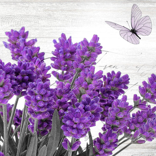 Novart Wandbilder Set Home Provence Lavendel Viollet - KEIN EXTRA RAHMEN BENÖTIGT -  Modern Deko  - Wohnzimmer Schlafzimmer N002963a