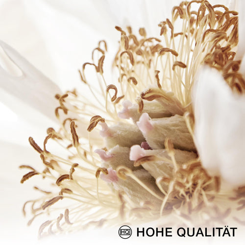 Novart Wandbilder Boho Gold Blätter - KOMPLETT AUFHÄNGFERTIG - Home Wohnzimmer Schlafzimmer - 7 Moderne Mood-Bilder - N021571a
