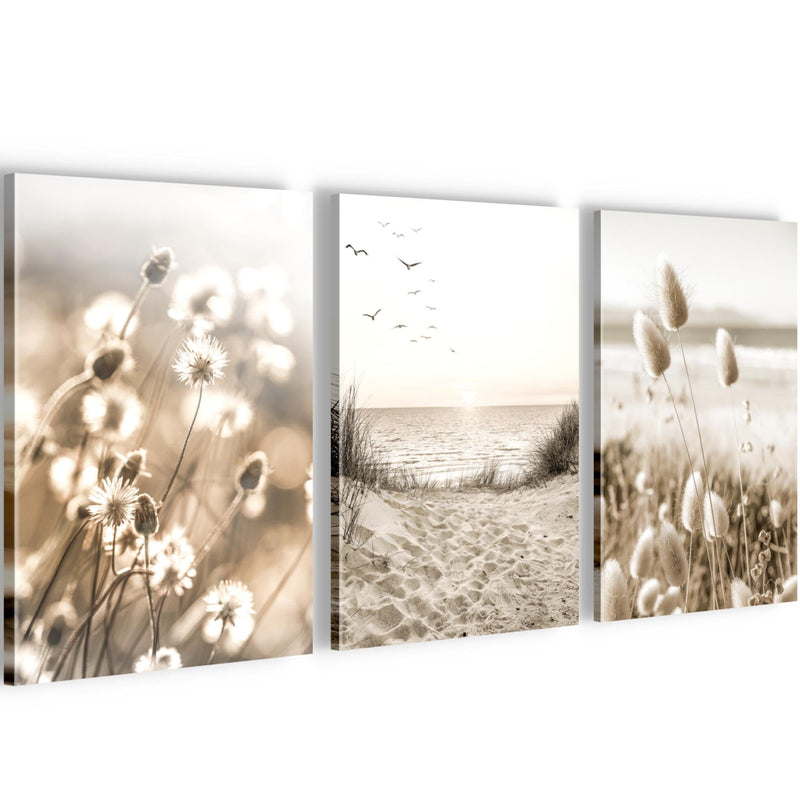 Novart Quadros Boho Erba della pampa - Completamente Pronto Da Appendere - Soggiorno Camera da letto Corridoio Decorazione Elegante - Set 3 Pezzi Beige - N035330a
