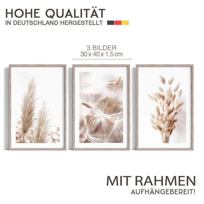 Novart Wandbilder Set mit Rahmen - Boho Pampas- KOMPLETT AUFHÄNGFERTIG - Wohnzimmer Schlafzimmer Flur Deko - 3 Moderne Bilder Beige - N008935aR1