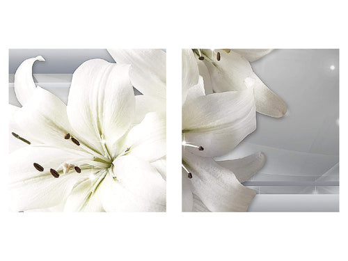 Runa Art Wandbild Blumen Pflanzen 100 x 40 cm Modern Bild auf Vlies Leinwand Weiß Wohnzimmer Schlafzimmer Büro Blumen 021712a