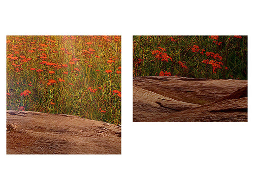 Runa Art Wandbild Natur Gebirge 1 Teilig 100 x 40 cm Modern Bild auf Vlies Leinwand Baum Herz Wohnzimmer Schlafzimmer Beige Rosa 607612c
