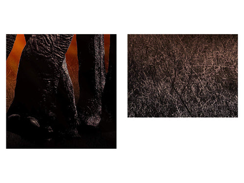 Runa Art Wandbild Afrika 100 x 40 cm Modern Bild auf Vlies Leinwand Orange Wohnzimmer Schlafzimmer Büro Elefanten 007612a