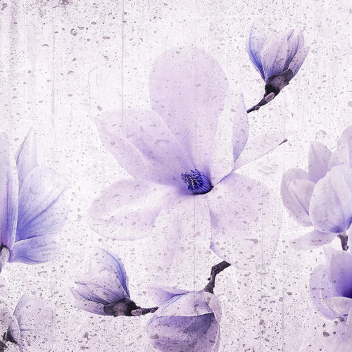 Runa Art Bild Wohnzimmer Schlafzimmer Blumen Magnolien 5 Teilig Abstrakt Grau Rosa Wandbilder auf Vlies Leinwand 007753b