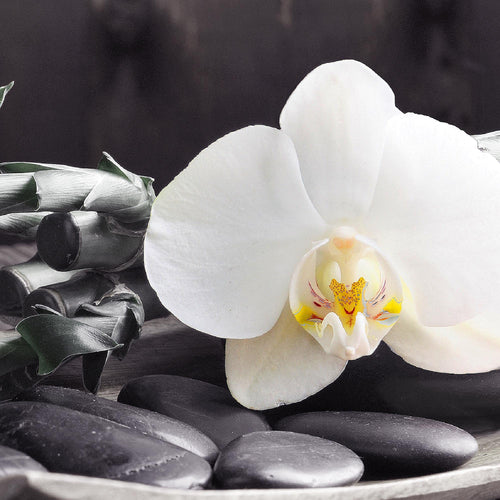 Runa Art Wandbilder Set XXL Feng Shui OrchideeWohnzimmer Schlafzimmer Schwarz Weiss 4 Teilig - Made in Germany - 502345c