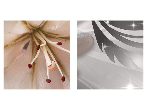 Runa Art - Bilder Blumen Pflanzen 200 x 100 cm 5 Teilig XXL Wanddekoration Design Natur Beige 020151a