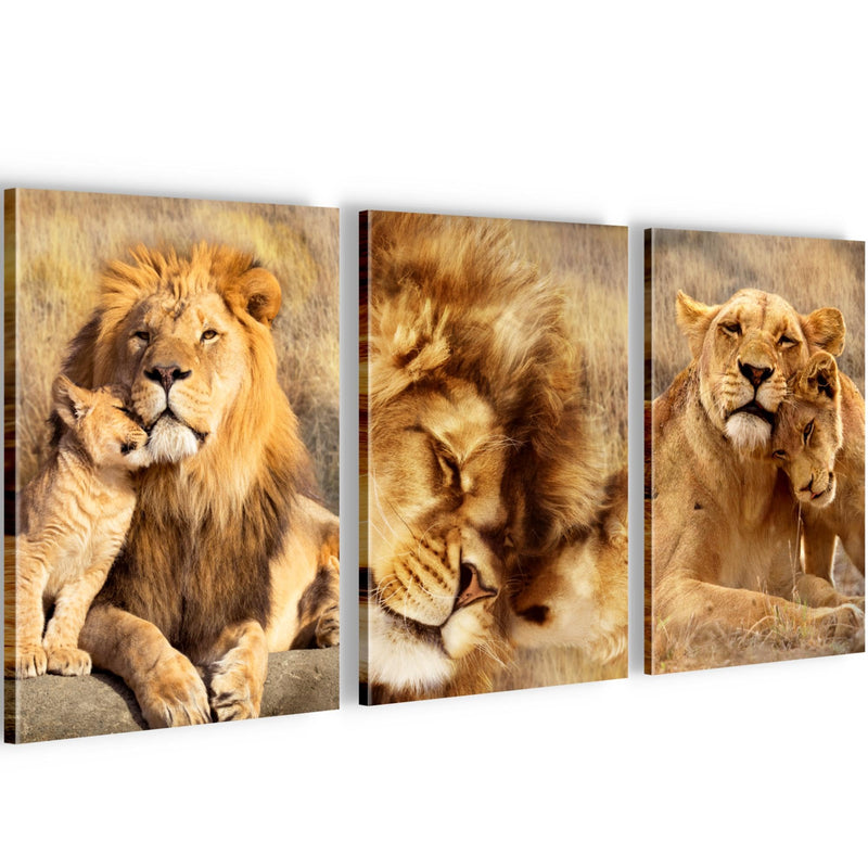 Novart Quadros Leoni Africa Animali - Completamente Pronto Da Appendere - Soggiorno Camera da letto Corridoio Decorazione Elegante - Set 3 Pezzi Beige - N036230a