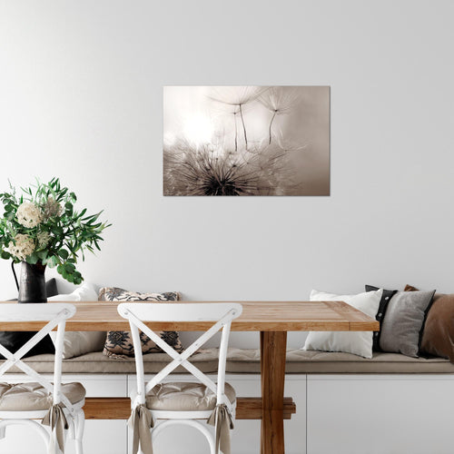 Runa Art Bild Pusteblumen Modern Wandbilder Wohnzimmer Schlafzimmer 1 Teilig - Made In Germany - Blumen Rosa Grau Flur 053615b