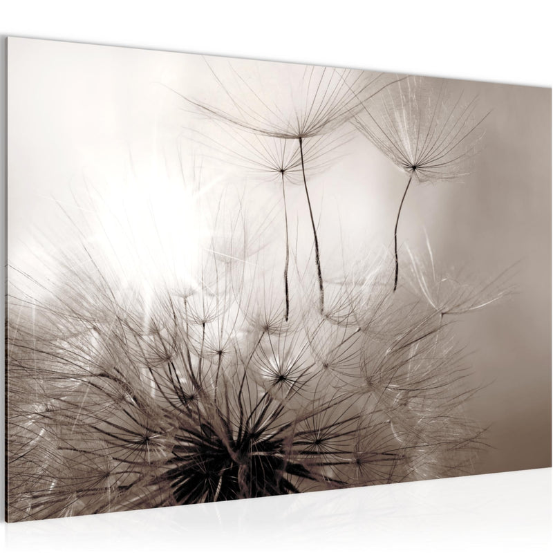 Runa Art Bild Pusteblumen Modern Wandbilder Wohnzimmer Schlafzimmer 1 Teilig - Made In Germany - Blumen Rosa Grau Flur 053615b